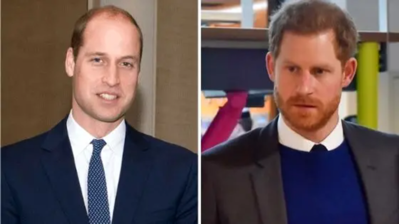 The Feud Between The Royal Brothers: Prince Harry and Prince William!